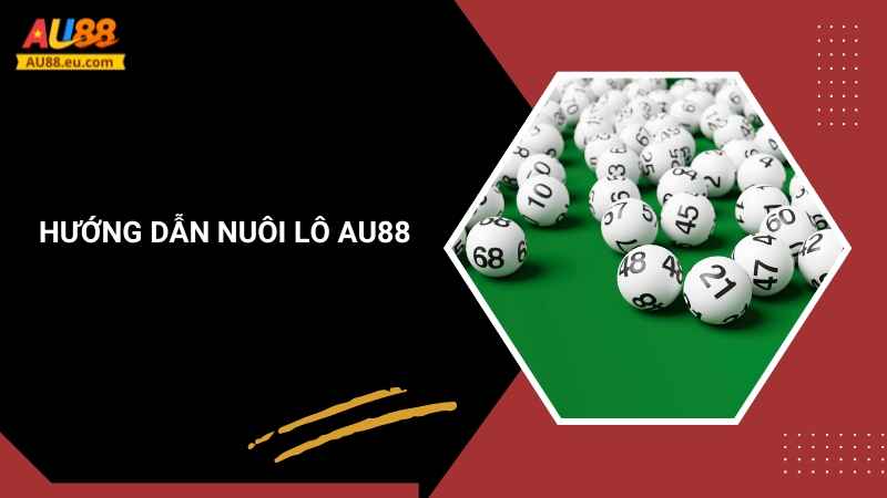 Hướng Dẫn Nuôi Lô Bách Phát Bách Trúng Tại Au88